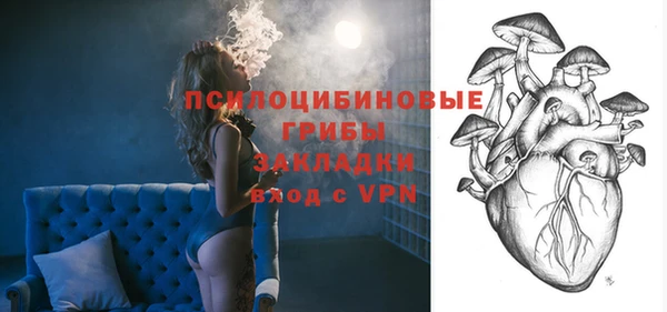 соль ск Кодинск