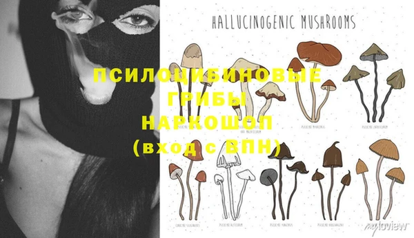 a pvp Козловка