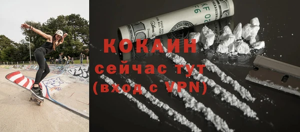 соль ск Кодинск